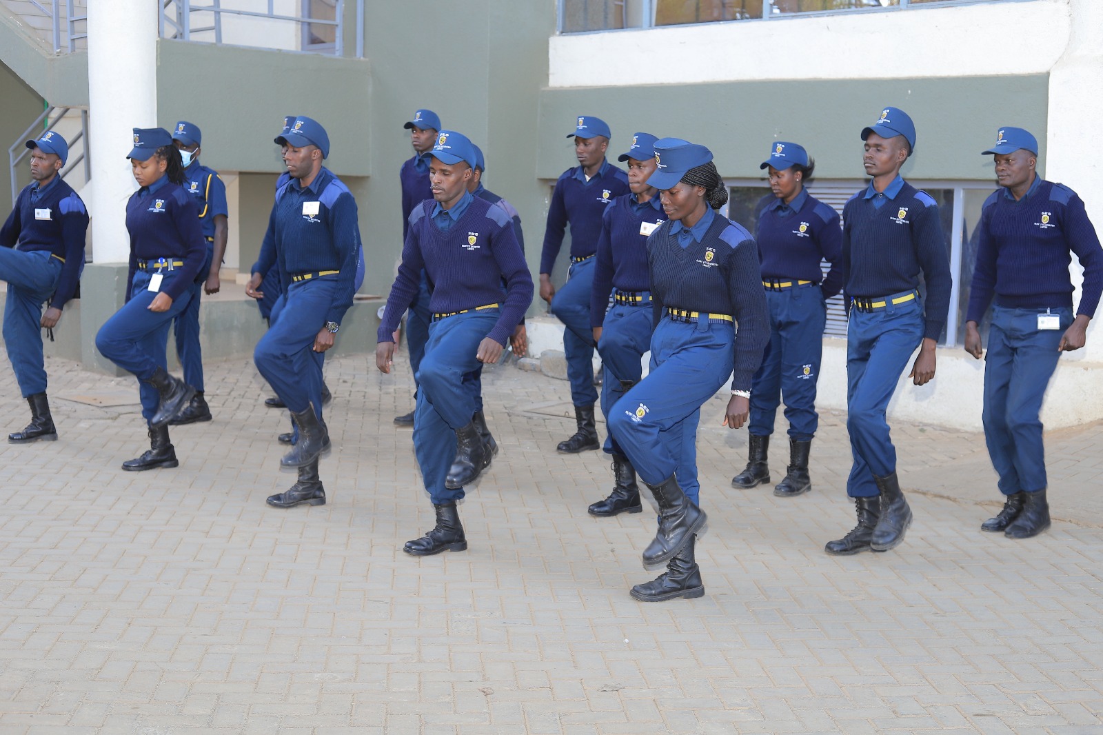 Professional Security Guards